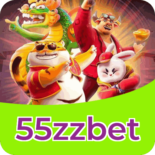 Interface 55zzbet